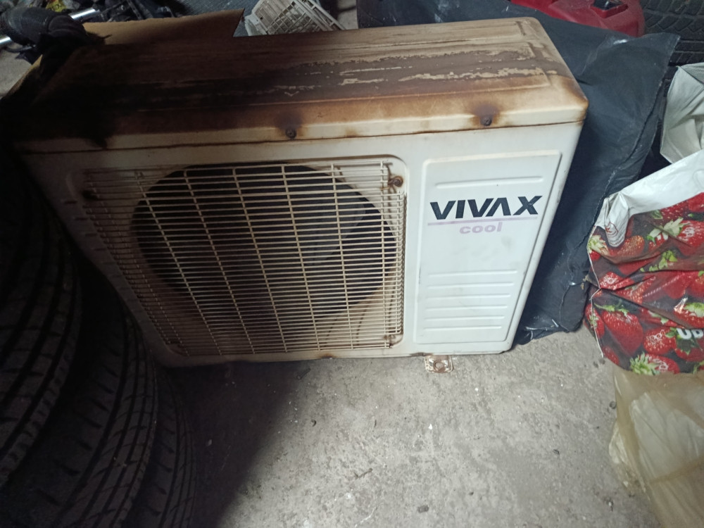 Klima vivax — fotografija 1
