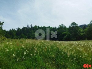 Prodaja zemlje i šume, Olovo 061 901 235 — fotografija 1